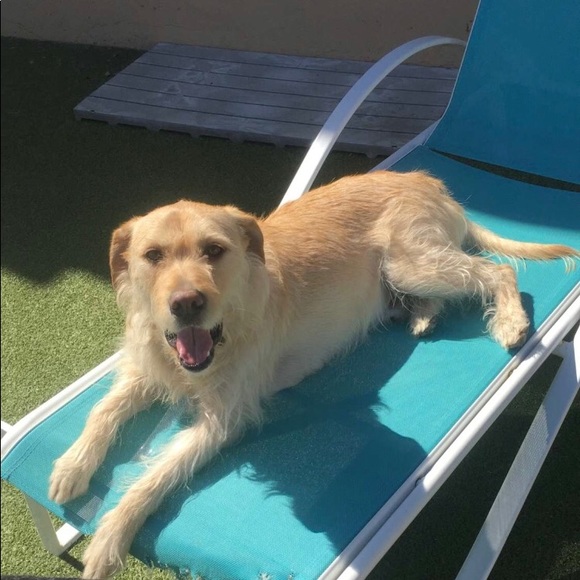 Meet your Posher, Mary - Picture 1 of 1